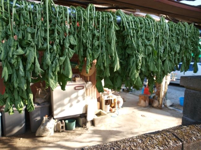 秩父付近(2008/11/23)<br /><br />長瀞の二駅前で降りてみて、歩いてみる。<br />七草寺を目指してみるが、道に迷って断念。<br /><br />▽アクセス<br />秩父鉄道　樋口