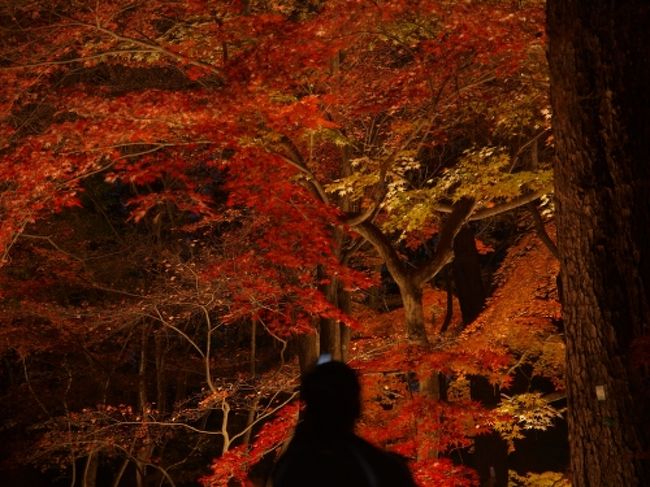 秩父付近(2008/11/23)<br /><br />結局、長瀞まで歩き空腹だったので最初に見つけたそば屋に入る。そばが、出てくるまでやたら時間がかかったが、窓の外の景色もそれなりによかった上に、体力を回復するのにちょうどよかった。<br /><br />▽アクセス<br />秩父鉄道　長瀞