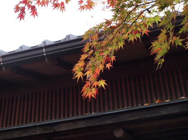 緑からオレンジへ。<br />綺麗なグラデーション。