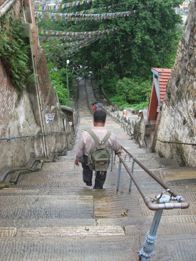 こんな急な階段を下って帰ります。この階段は石でできているのですが、当日は雨で滑りやすくなっていました。加えて、急な階段＋階段の幅が狭いということで、ものすご〜く歩きにくかったです。