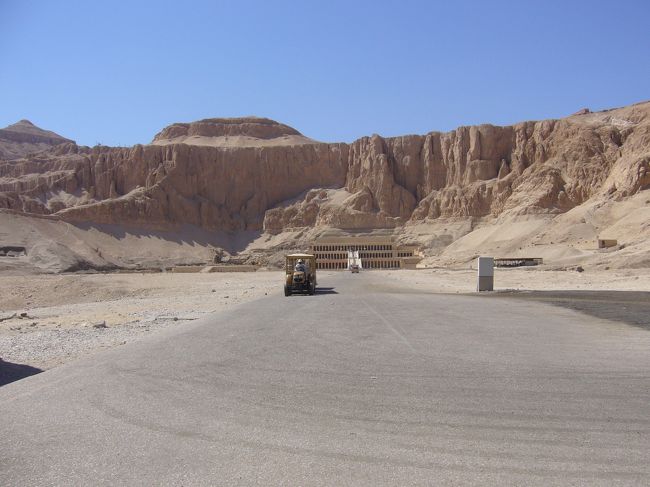 炎天下。<br />ここ歩くの死にます。