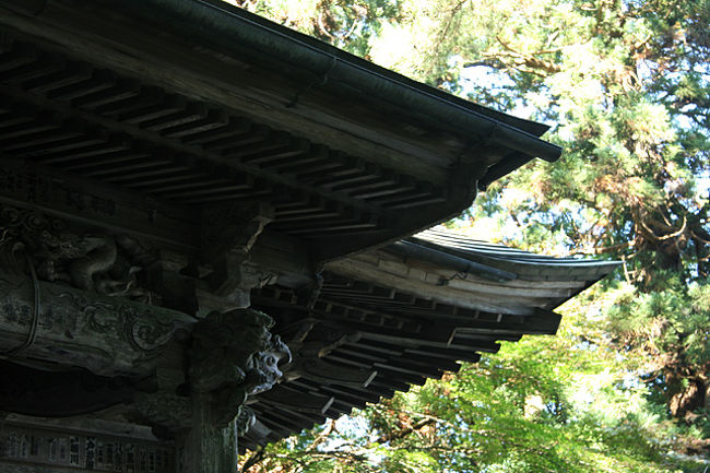 葉の隙間から差し込む光が眩しかったです。