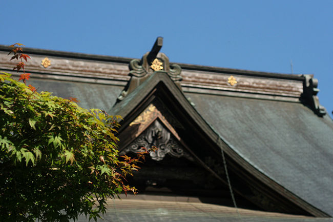 本堂まで進むと、お線香の香りが一杯!