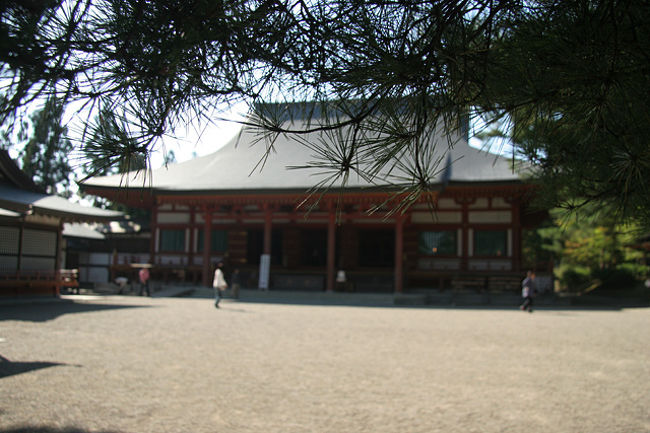 毛越寺は慈覚大師円仁が開山したと言われています。<br />平成元年に建立された新本堂です。