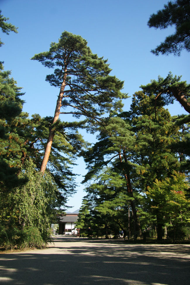 振り帰ればこんな風景。