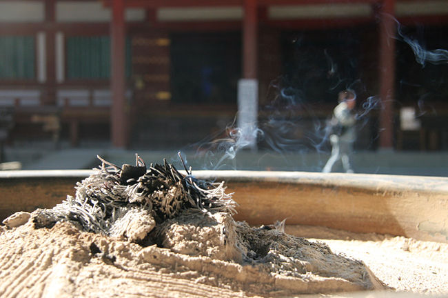 人もボチボチでした。<br />穏やかな時間が流れます。