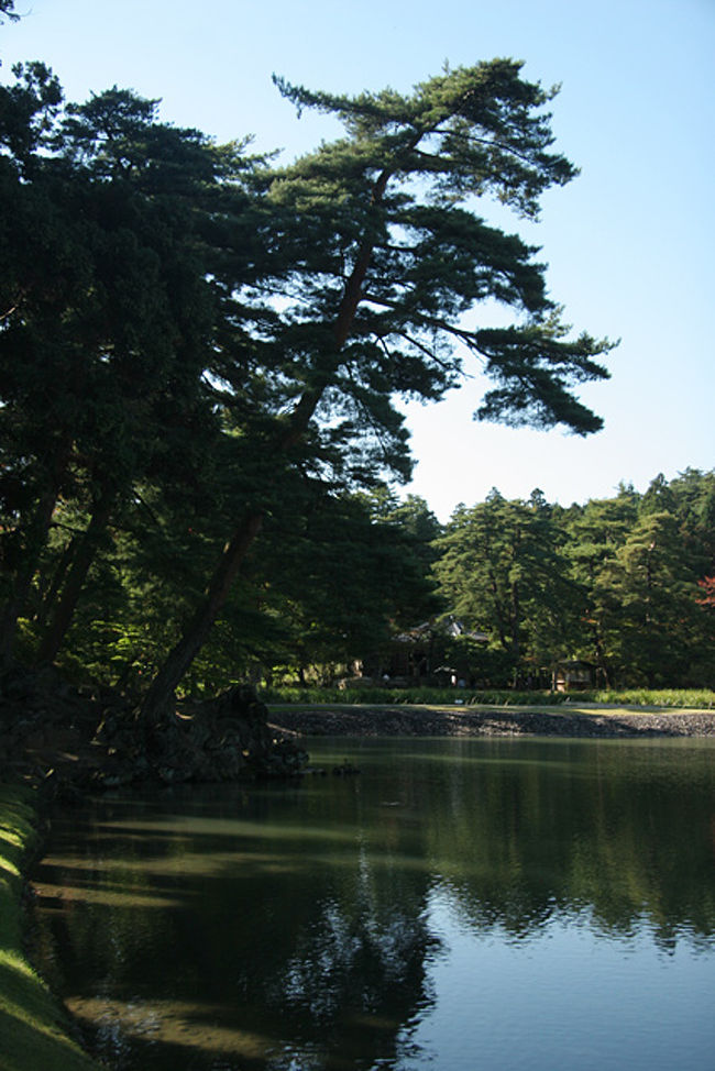 私には学術的な事は分かりませんが、<br />貴重な庭園だそうです。