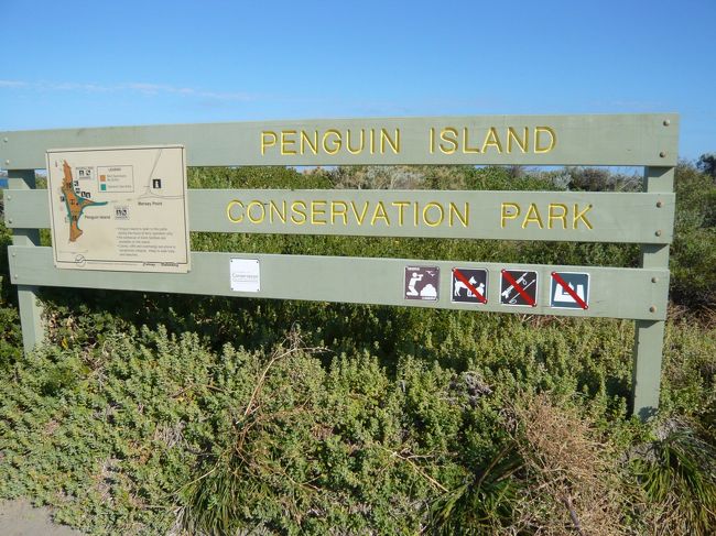 2008/11/20 Thu.<br />パースから南へ約50km。ロッキンハムのペンギン島へ。<br /><br />イルカ、ペンギン、アシカのウォッチングです。<br /><br />（ツアーはパースからの送迎付きです）