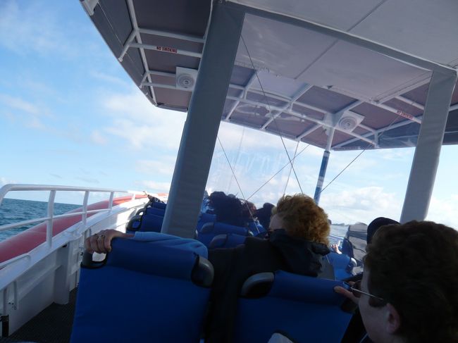 ペンギン島から、イルカが泳ぐポイントを探して、荒波の中をフェリーは爆走。<br /><br />水しぶきが凄い・・・。<br />（乗船と同時にポンチョを貸してくれますので濡れても大丈夫！）
