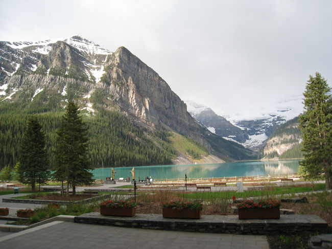 また湖に下りてきました。