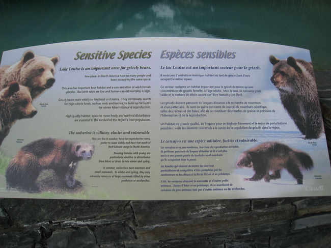 敏感な種、保護動物について書いてあるんでしょうね