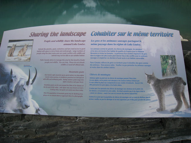 動物好きのビビコこれからロッキーでどんな動物にあえるかワクワクです