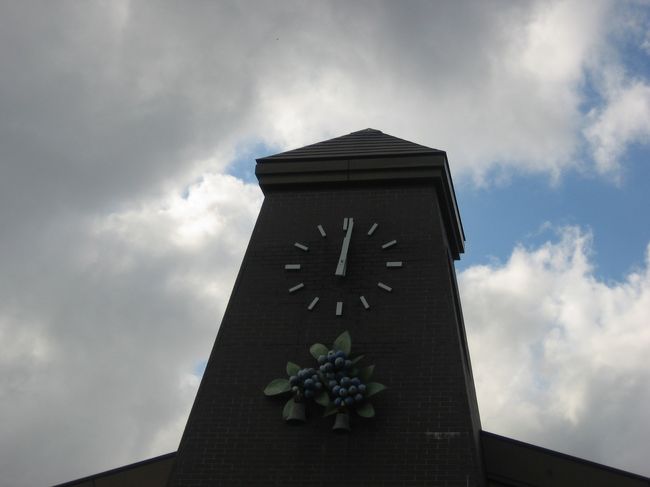 大石公園の建物。<br />ブルーベリーの飾りが可愛い♪<br />大西公園は広い駐車場もあるし<br />富士山がきれいに見えるいいポイントだと思います。<br />ただし午後は逆光・・。