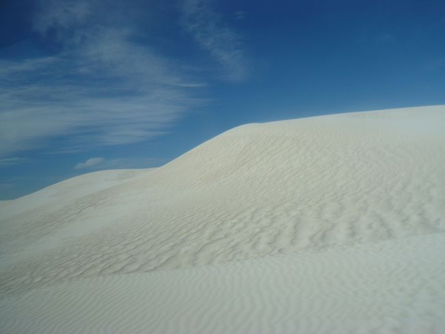 ピナクルズから南西方向へ、また2時間ほどバスは走ります。<br /><br />到着したのは、ランセリンという小さな港町にある砂丘。<br /><br />細かな粒子の真白い砂が一面に広がっています。<br />まるで雪のゲレンデ。