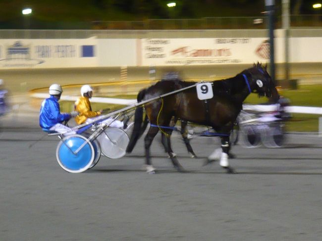 ここで行われているのは、ハーネスレーシング。<br />競馬のようですが、馬の後ろにリアカーのようなものがくっついていて、騎手もそこに乗っていて。<br /><br />日本では見ないレースですね。<br />賭け方は普通の競馬と同じでした。