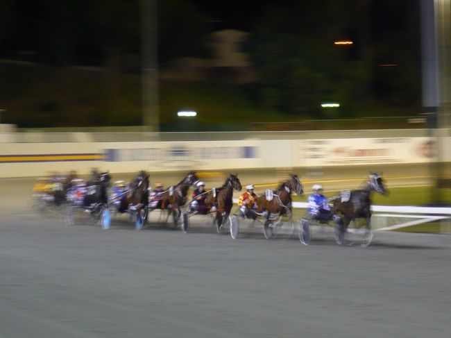 馬の走るスピードは、普通の競馬より遅い感じもありますが、差しつ差されつもちゃんとあって、見ていて楽しいかったですよ。