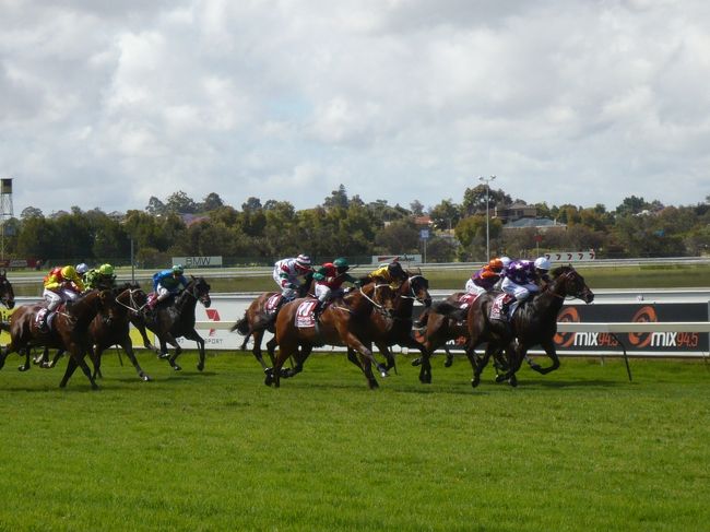 第7レース　CARLTON DRAUGHT RAILWAY STAKES<br />芝1600m、17頭<br /><br />勝ち馬は、10番（緑の帽子）<br />GILDED VENOM　 鞍上PATRICK CARBERY<br /><br />最後の叩きあい。<br />場内は万国共通ですね。皆、絶叫しています。