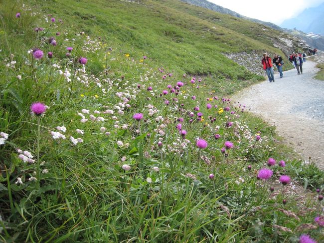 切り立った岩肌に沿って作ってある道の反対側は柵も何もない深い谷になっています。
