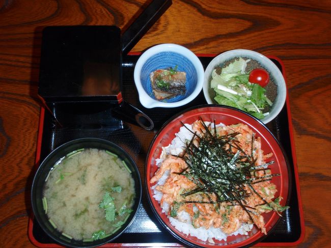 沼津で、海鮮料理を堪能します。桜エビのかき揚げ丼です。うまいぞ−。