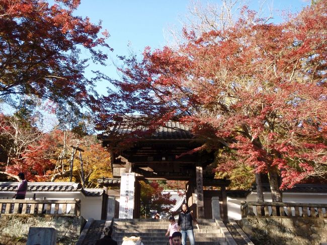 そして辿り着いたのは、修善寺。弘法大師が開いたとのこと。