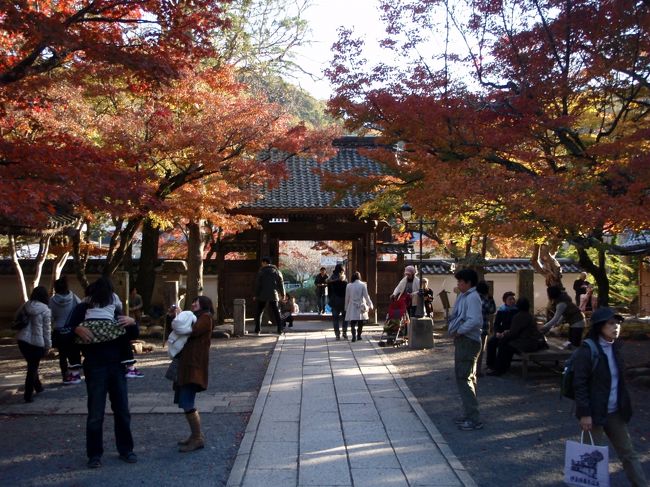 そして鎌倉初期に、将軍家の権力争いの舞台となったことで有名な土地です。