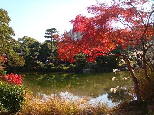 渉成園 枳殻邸 の紅葉 京都駅周辺 京都 の旅行記 ブログ By おだまきさん フォートラベル 渉成園 枳殻邸 の紅葉 京都駅周辺 京都 の旅行記 ブログ By おだまきさん フォートラベル