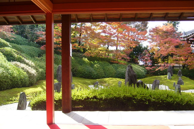 京都名庭100選(24)秋巡り(5)「重森三玲」と紅葉の東福寺界隈?「光明院・波心庭」