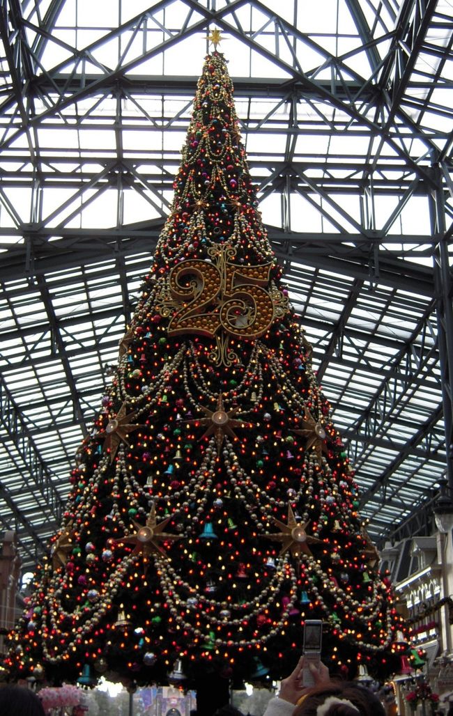 入ってすぐにおっきなツリーが！