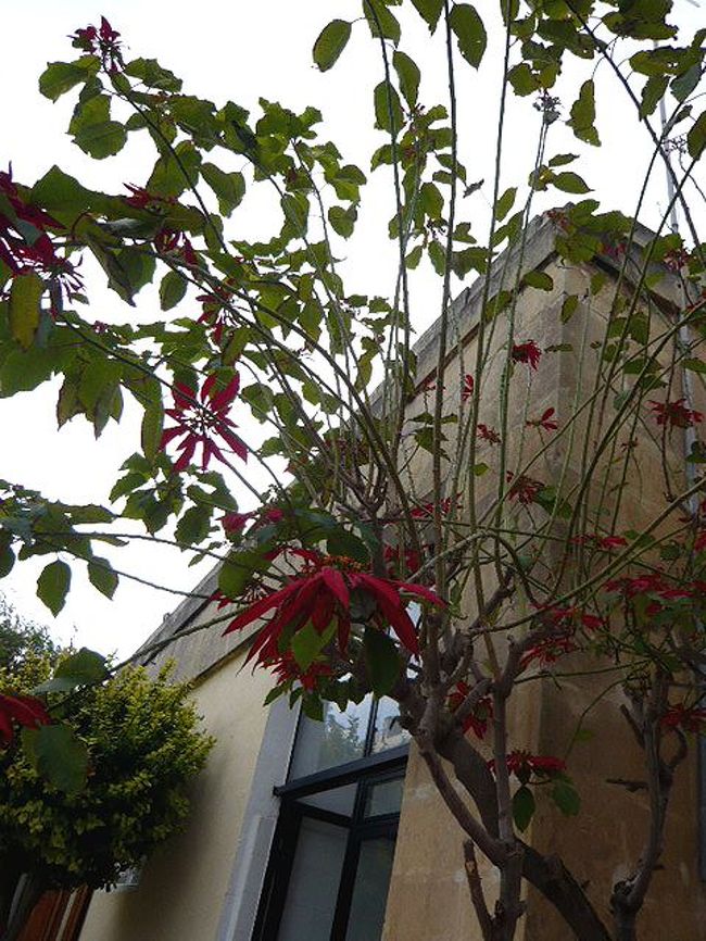 ←◆『タルシーン神殿にて♪』<br /><br />予約時間迄１時間以上あるので<br /><br />タルシーンでトイレにはいって