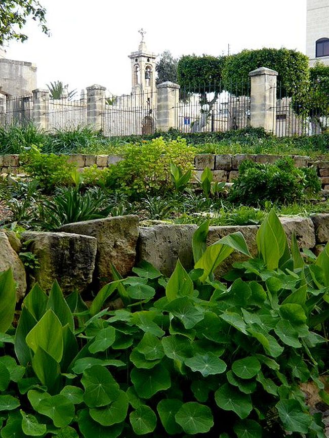 ←◆『タルシーン神殿にて♪』<br /><br />神殿の隣は墓地になってるみたい<br /><br />よし、そっちにも寄ってみよう！