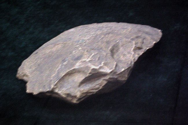 同じく第十五層から発見された旧石器です。第十五層の地質年代は中更新世です。