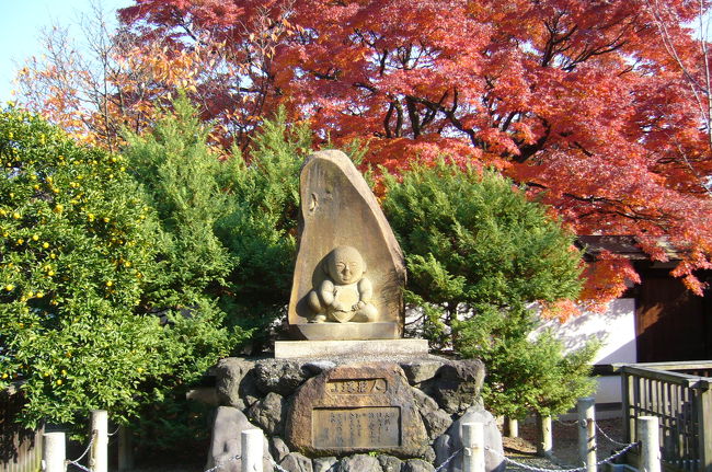 京都名庭100選(29)秋巡りの最終章(6)秋から冬への移り変わり ?「神光院」、「宝鏡寺」
