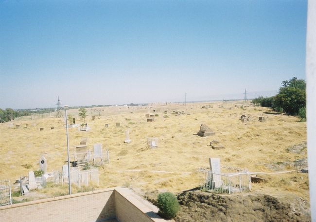 アフラシャブの丘です<br /><br />結構、広い