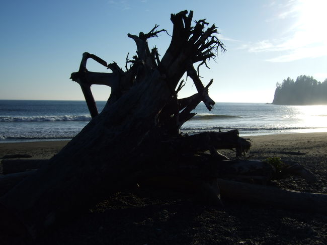 目の前にはビーチが広がります