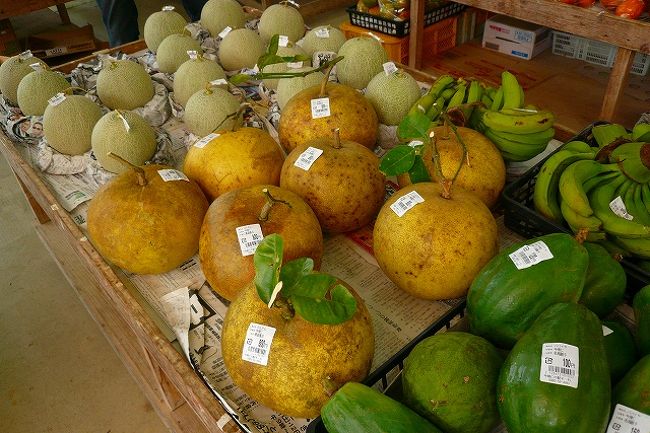 「道の駅　今帰仁の駅　そーれ」<br />ぶんたん（８００円）パパイヤ、バナナなど<br />多分スーパーより安いんじゃないかな〜？