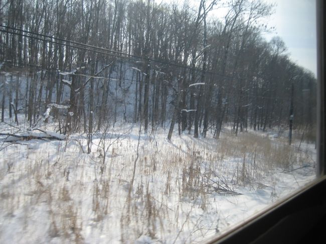 雪国の車窓から。