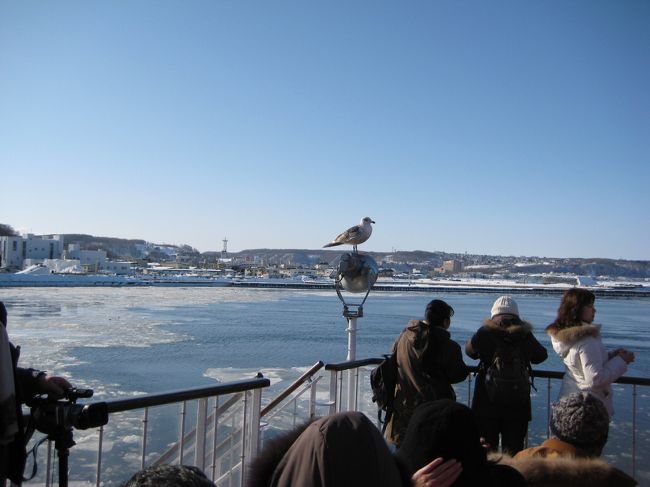 凍りついた海を渡る砕氷船からです。氷を砕くときに結構揺れますが、しばらく進むと雄大な知床半島がよく見えます。