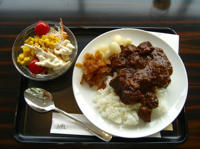 んでもって、食べてると、昼メニューのカレーが出て参りました！<br />勿論、取りますっ！<br />ん〜・・・、カレーは辛くありません。どっちかというと、「ハヤシライス」みたいな？子供にも食べやすいようにしてるのかなぁ？まずくはないけど、もちっと辛い方がいいにゃ。<br />たらふく食べたら、もー動けまへん状態。