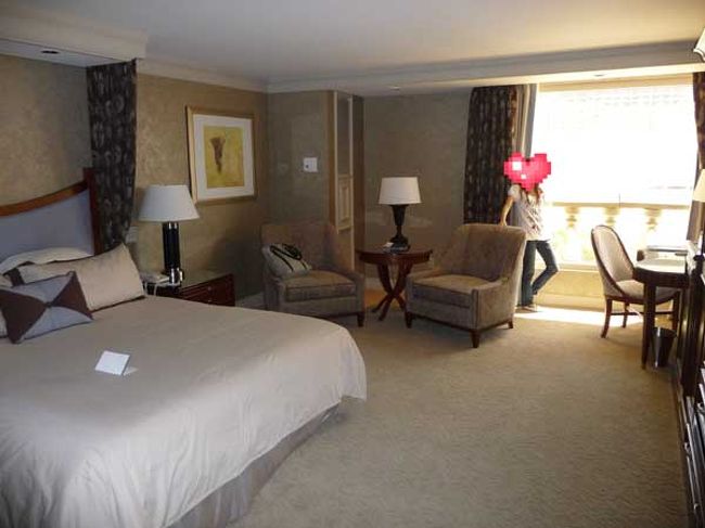 客室はダブルのデラックスルーム。広々としてて快適♪<br />奥の豆のようなのはアタイです。