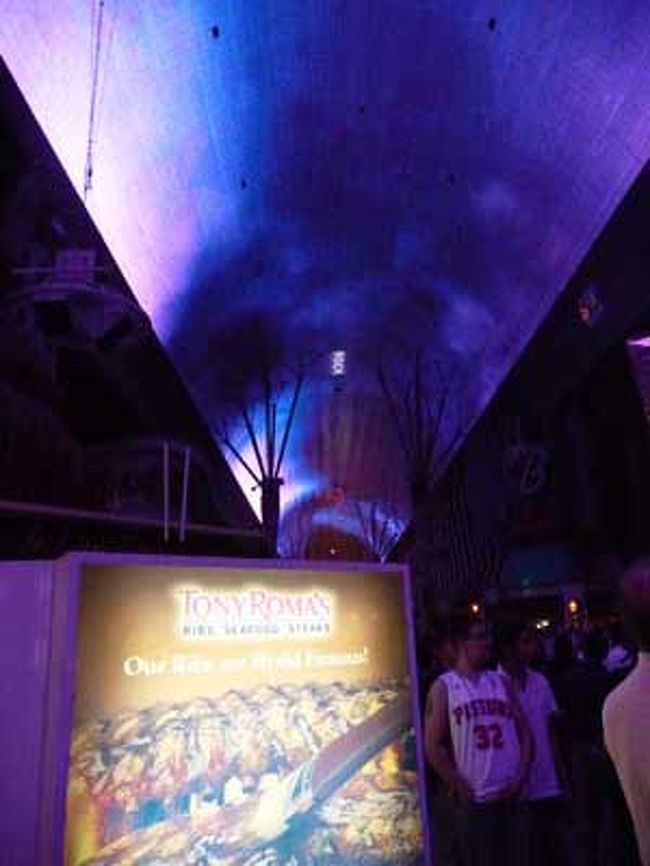 フリーモントストリート・エクスペリエンス。<br />数十メートルのアーケードに映像が流れるう〜。なかなか感動〜。<br />ダウンタウンはレートの低いカジノが多いようです。<br />スロットで軽く遊んで1日目は終わり。<br /><br />気候的なものも考慮して旅行を５月にしたんだけど正解だったかも。<br />カラっとしていたので気温が30度でも汗をかくことは無かったですね。<br />お店の中やカジノはちょっと冷房効きすぎだから羽織りものが必要でしたが。<br /><br />あと乾燥対策に、お風呂にお湯張っておいたり<br />室内にスプレーで水をシュッシュしたり、寝る時にはマスクをしたりして気をつけましたね。<br /><br />２日目につづく。。。