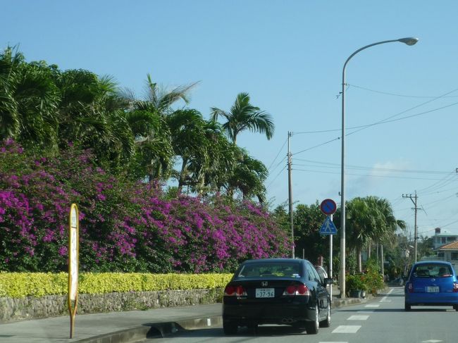 ホテルを出て名護方面へ向かいます