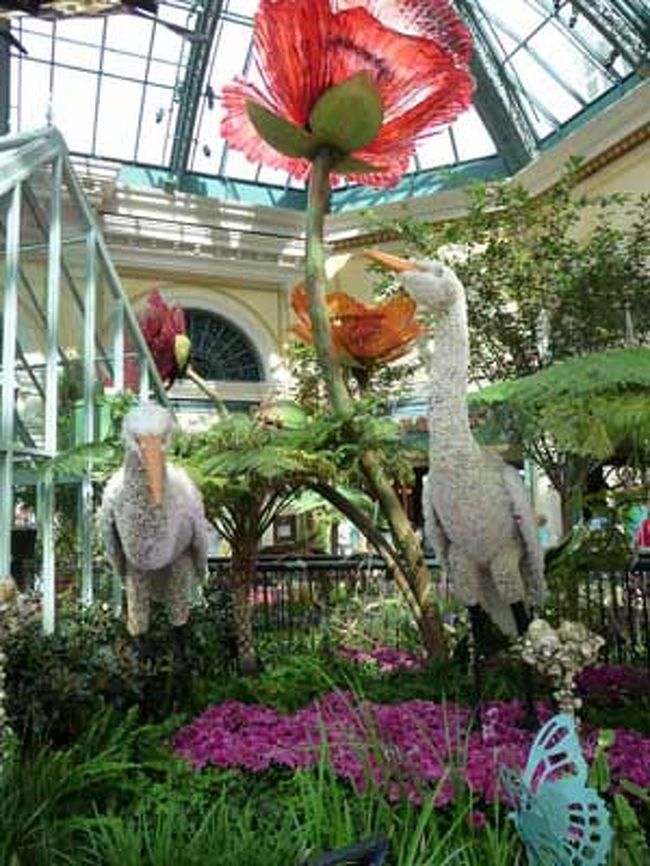 ラスベガス２日目！いっぱい遊ぶでえええ。<br /><br />べラージオの太陽光が降り注ぐ明るいフラワーガーデン。<br />こんな素敵な温室は世界探してもここくらい･･･じゃないかな？<br />こんなとこで一人でのんびり読書したい。<br />