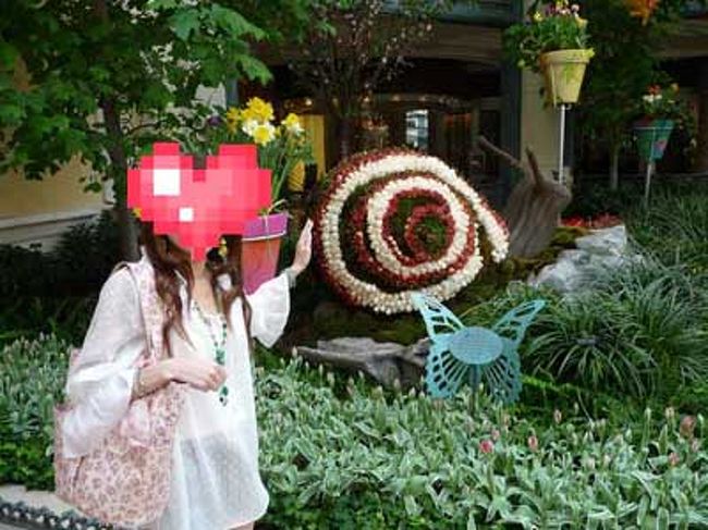 おっきなデンデン虫。<br />触ってるように見える写真をお願いしたら<br />うまく行き過ぎて遠近感ゼロになってしまった(汗)