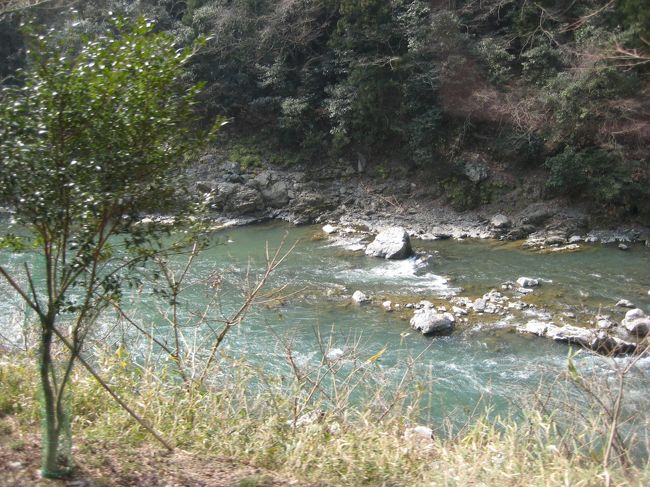 列車から川を見下ろしてみました。なんだか釣りがしたくなってくるようなキレイな川です。