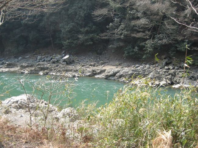 かなり上流まで来ました。もうすぐ終点です。