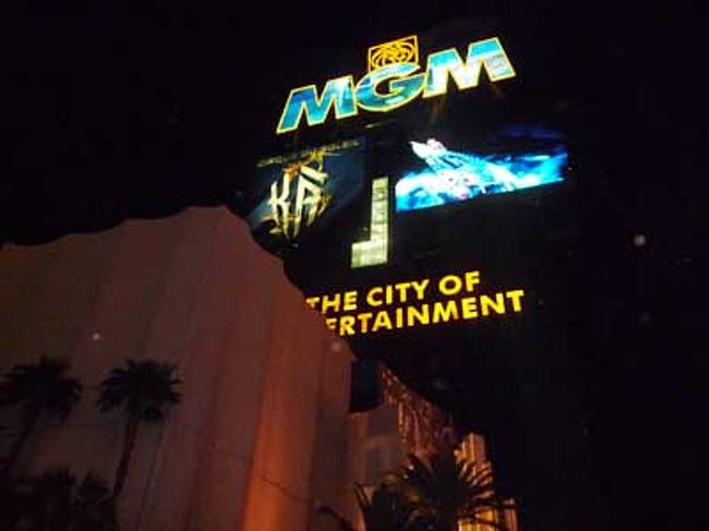 ＭＧＭグランドです。馬鹿でかいです。<br />