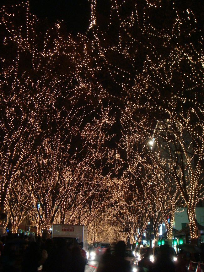 ず―っと奥までつづく<br />光のトンネル。<br /><br />単純にきれい。<br />素敵なんです。<br /><br />