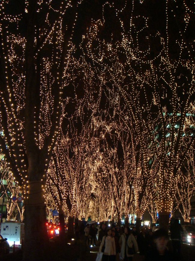 やっぱりイルミネーションは<br />仙台ですね。<br /><br />派手で芸術的なイルミネーション<br />では味わえない、<br />あたたかさを感じられる光が<br />ココにあります。<br /><br />ぜひ、一度は足を運んで<br />欲しいトコロです。<br /><br />※12月31日までの間<br />17:30〜24:00まで