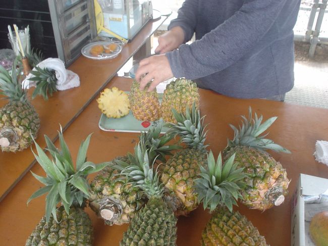恩納村の農家直売「みなみ農園」にて<br />スナックパインを買う！<br /><br />手でちぎって食べれるパイン。<br />気になってたのでトライ！600円。<br />もう時期が終わりのころだったので<br />ハイシーズンよりは味は落ちるかも。<br /><br />それでも、甘くて芯まで食べられた！<br /><br />うちはあんまり農薬使ってないから<br />形悪いけど安全なのよ〜って。<br /><br />おしゃべりしながら、マンゴーの<br />試食させていただきました。<br />おいしかった！