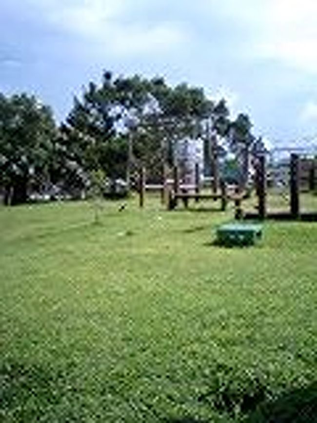 沖縄県うるま市の<br />具志川レクリェーションセンターに到着！<br /><br />途中ものすごい雨が降ってきたのですが<br />丁度スーパーで今日の食材を<br />調達している時だったので<br />被害にあいませんでした♪<br /><br />ここは中学生以上200円で<br />シャワーは100円です。<br />(コインシャワーじゃない！！<br />浴び放題！）<br /><br />センター内には、野球場、<br />アスレチック、ローラースケート場<br />などあります。<br /><br />テント宿泊者は私達だけなので、<br />公園に遊びに来ている<br />子供の声が心地よいです。<br /><br />うるま市は嘉手納市のすぐ近くに<br />嘉手納米軍基地があるせいで、<br />昼間の今の時間帯に<br />何十機もの爆音を放つ米軍機が…。<br /><br />こんな爆音毎日聞いてるのか…<br />と何とも言えない気分に。<br /><br />この音さえ無ければ<br />まずまずのキャンプ場かな。<br />明日も泊まる予定なんだけど、<br />うるさ〜い！！ 